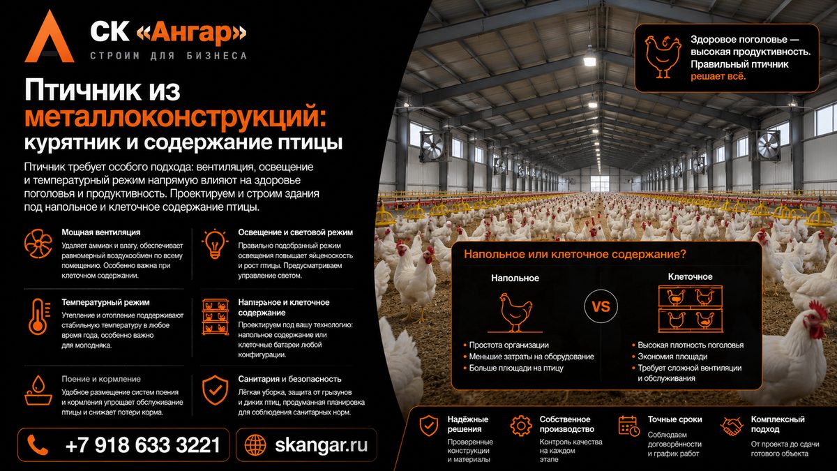 Птичник из металлоконструкций: курятник и содержание птицы